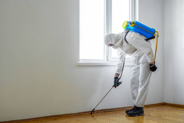 Best Residential Pest Control  in Black River, NY